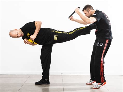 krav maga videos|best krav maga training videos.